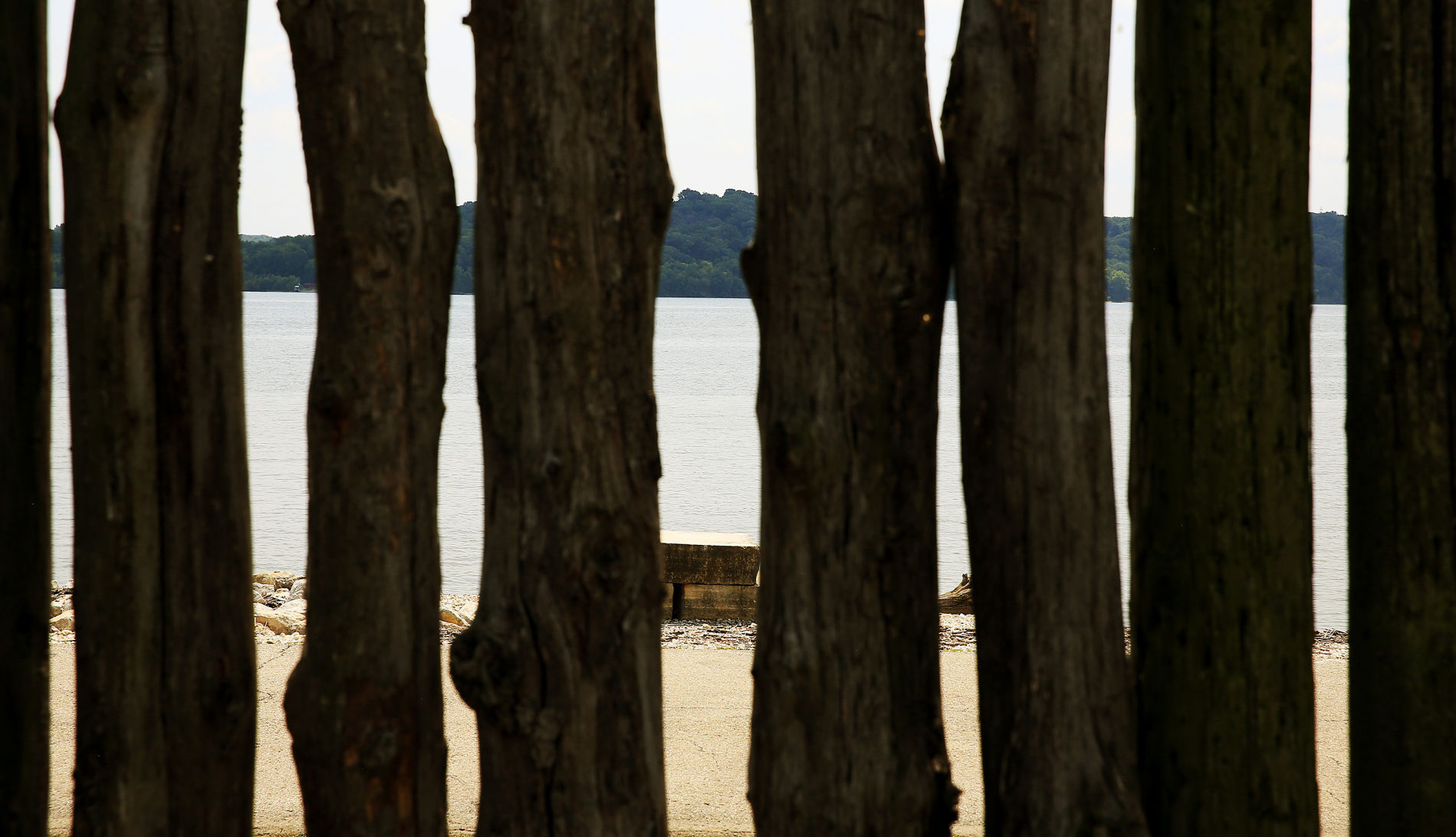 THE GREAT RIVER-0905